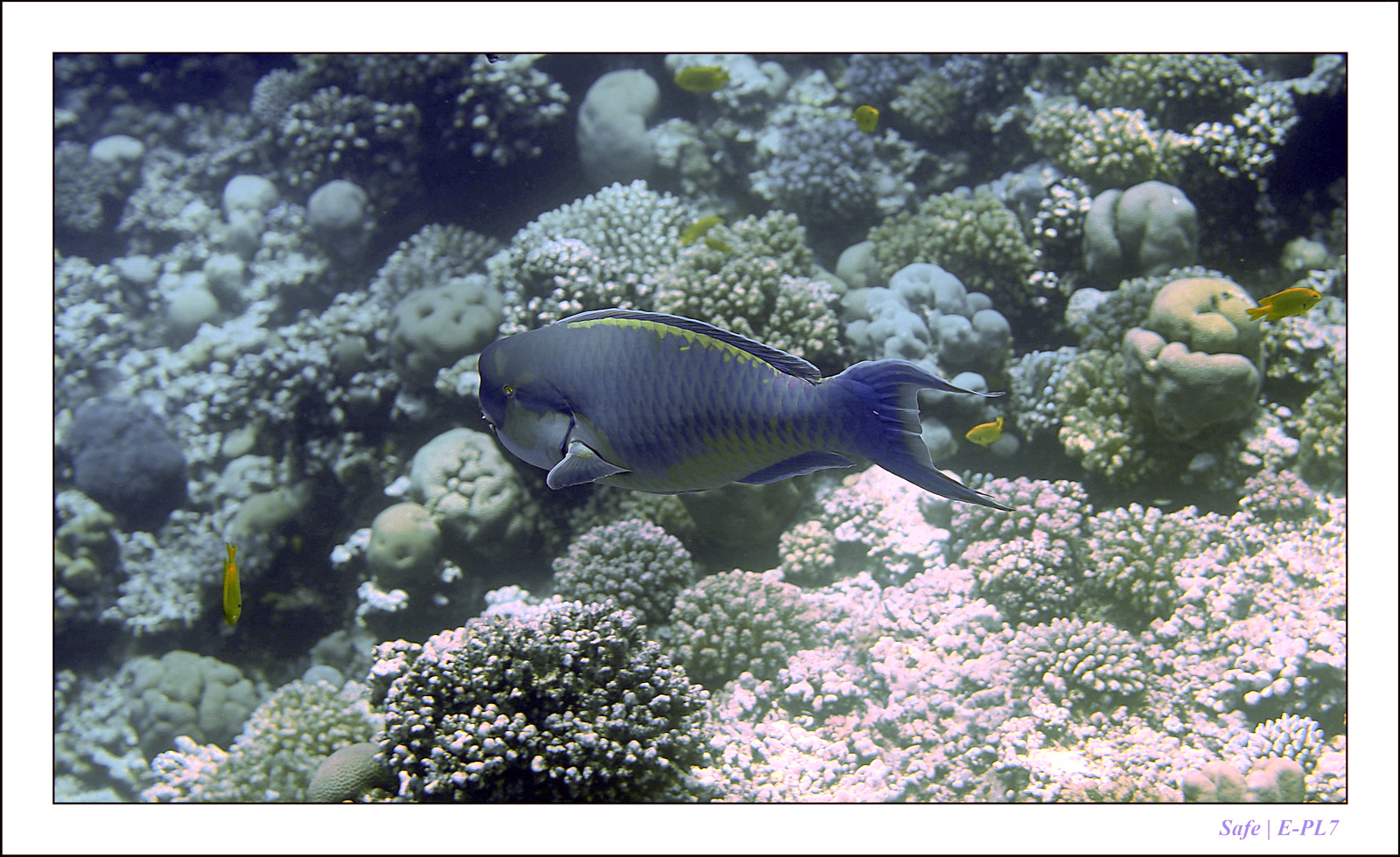 Hurghada - Juillet 2021 - 088